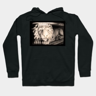 The dead lion king Hoodie